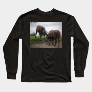 Bulls Long Sleeve T-Shirt